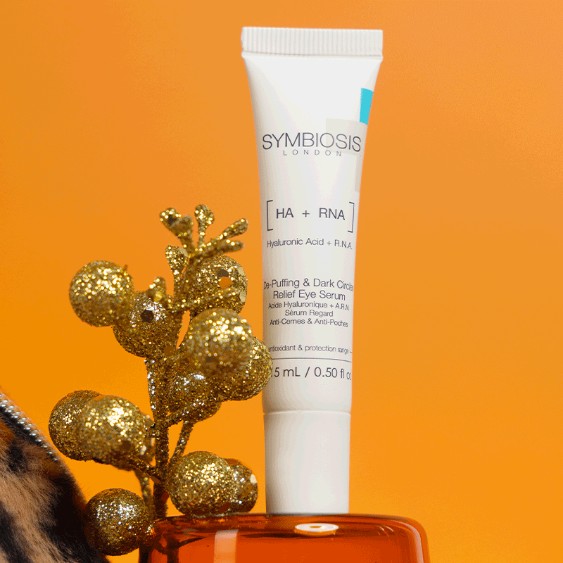 Box de Décembre 2025