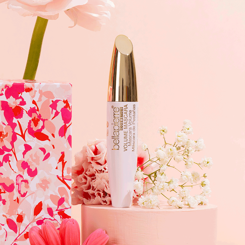 Box de Février 2026